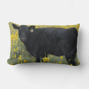 A calf amid the sunflowers of the Nebraska Lumbar Pillow