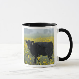 A calf amid the sunflowers of the Nebraska Mug