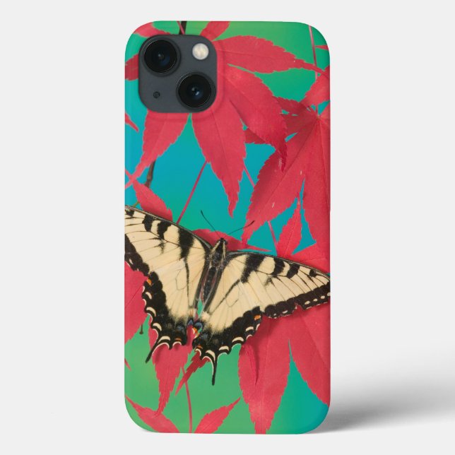 A Canadian Tiger Swallowtail Butterfly Case-Mate iPhone Case (Back)