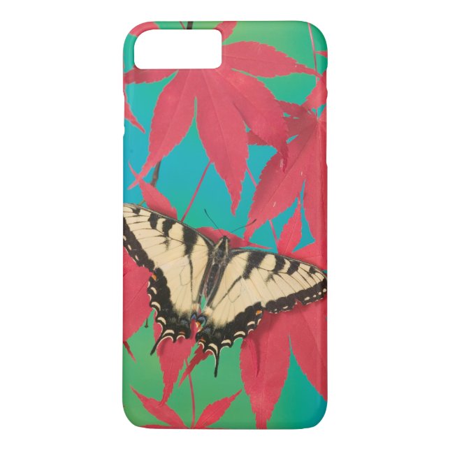 A Canadian Tiger Swallowtail Butterfly Case-Mate iPhone Case (Back)
