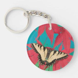 A Canadian Tiger Swallowtail Butterfly Keychain