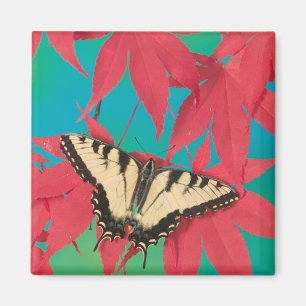 A Canadian Tiger Swallowtail Butterfly Magnet