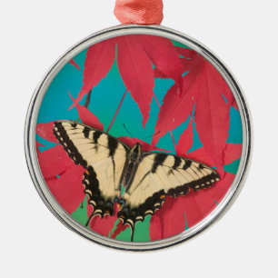 A Canadian Tiger Swallowtail Butterfly Metal Ornament