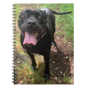A Cane Corso X Notebook