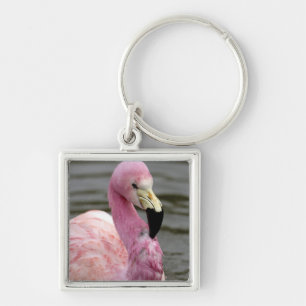 A captive photo of a Andean Flamingo Keychain