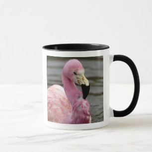 A captive photo of a Andean Flamingo Mug