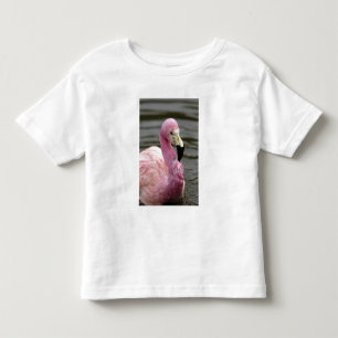 A captive photo of a Andean Flamingo Toddler T-shirt