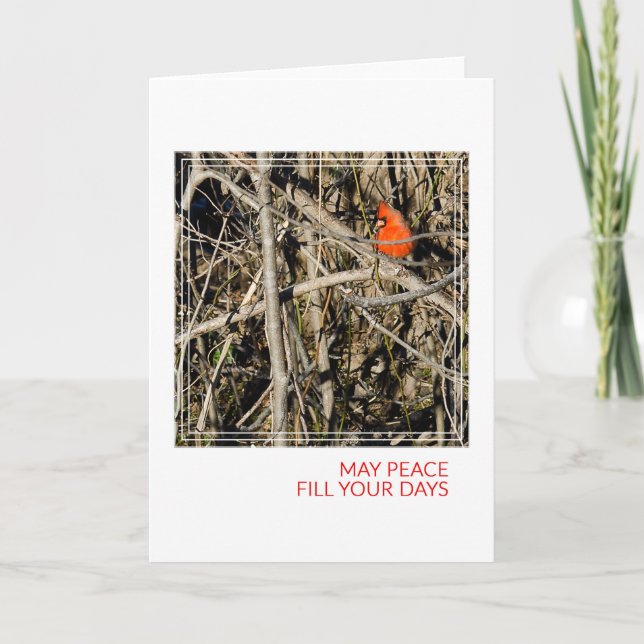 A Cardinal Christmas Holiday Card (Front)