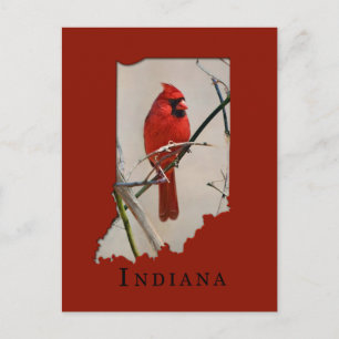 A Cardinal Inside the Shape of Indiana Postcard