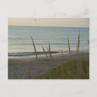 A Carolina Beach Postcard
