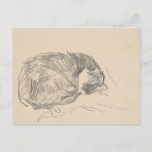 A Cat Curled Up, Sleeping by Edouard Manet. Postcard