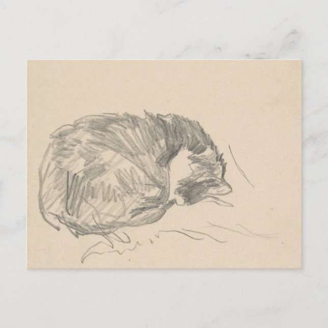 A Cat Curled Up, Sleeping by Edouard Manet. Postcard (Front)