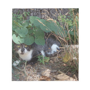 A Cat hiding Notepad