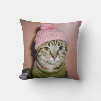 a cat in a beanie cushion