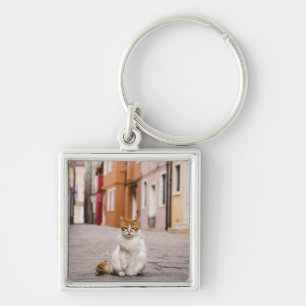 A cat in the streets of Burano, Italy.  2006. Keychain