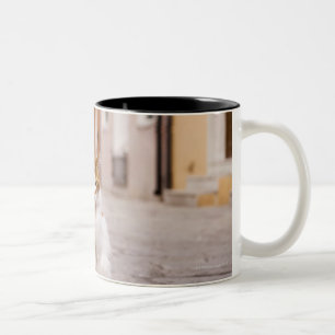 A cat in the streets of Burano, Italy.  2006. Two-Tone Coffee Mug