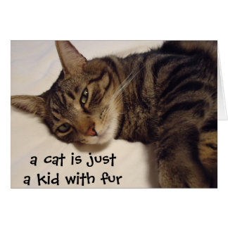 A Cat is Just a Kid with Fur