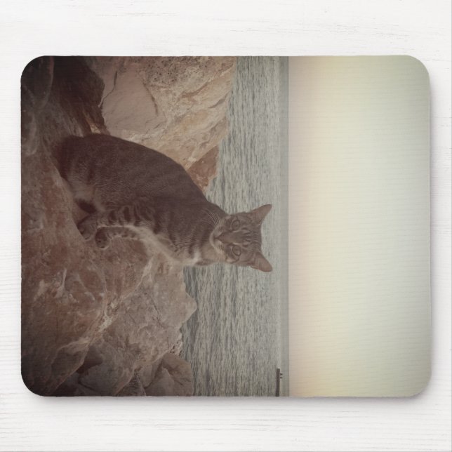 A Cat Mode Mouse Pad (Front)