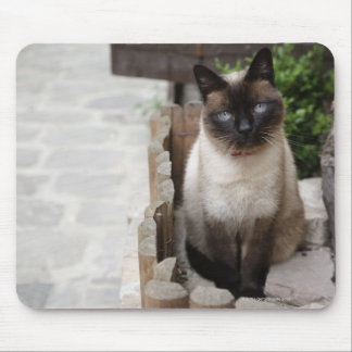 A Cat Mouse Pad