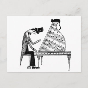 A cat named Sonata Postcard