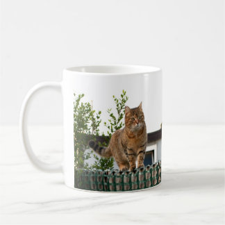 a cat on a mug