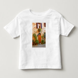 A cat seeks entrance to home in Pienza, Italy. Toddler T-shirt