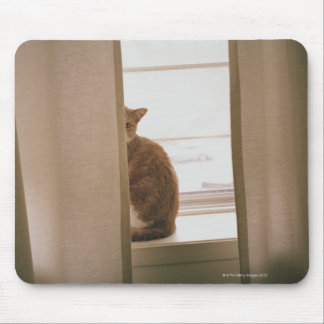 A Cat Sitting Behind The Curtains On A Window Mouse Pad