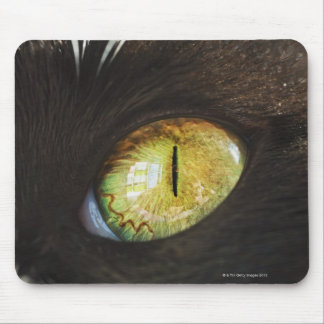 A Cat's Eye Mouse Pad