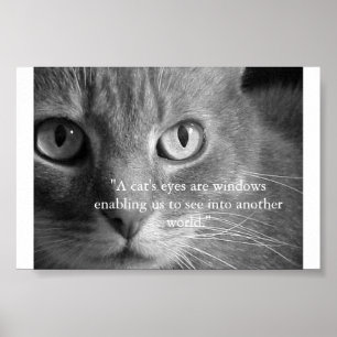 A cat's eyes... poster