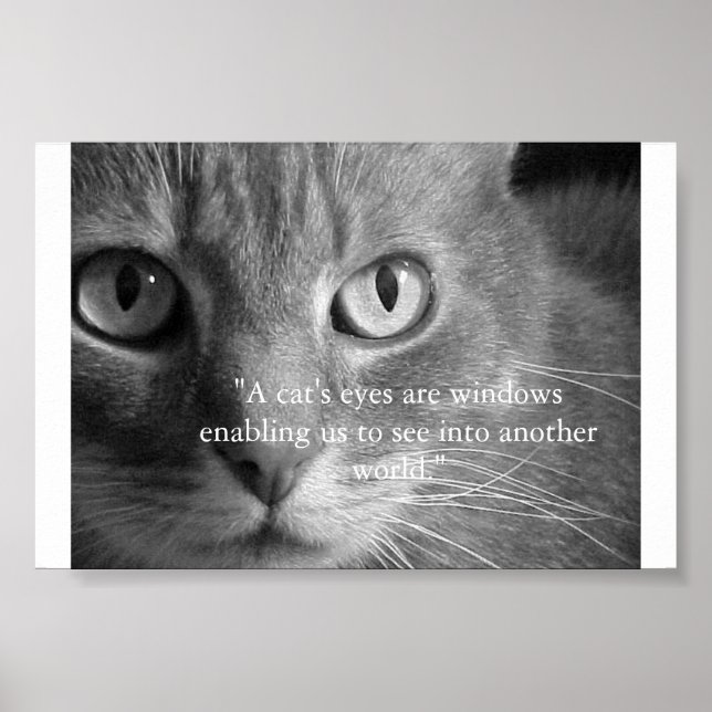 A cat's eyes... poster (Front)