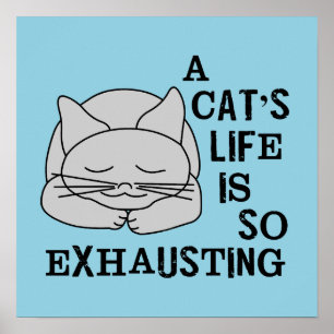 A Cat's Life Poster