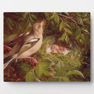 A Chaffinch at its Nest, 1877 (oil on panel) Plaque