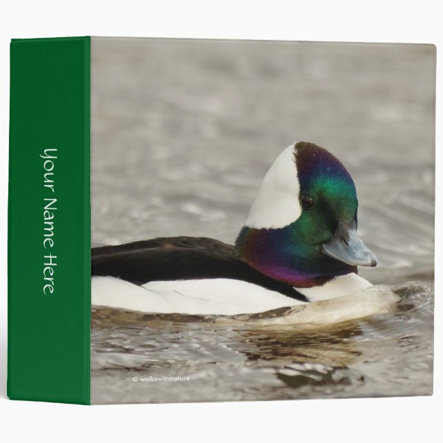 A Charming Bufflehead Duck Swims By Binder (Front/Spine)