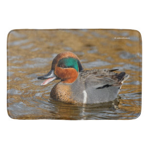 A Chatty Green-Winged Teal Duck at the Pond Bath Mat