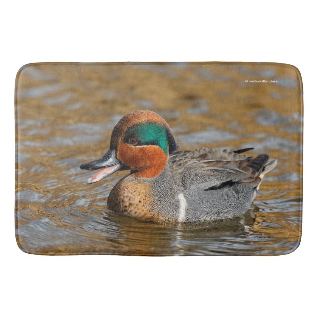 A Chatty Green-Winged Teal Duck at the Pond Bath Mat (Front)