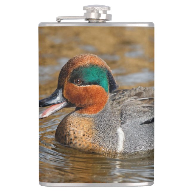 A Chatty Green-Winged Teal Duck at the Pond Hip Flask (Front)