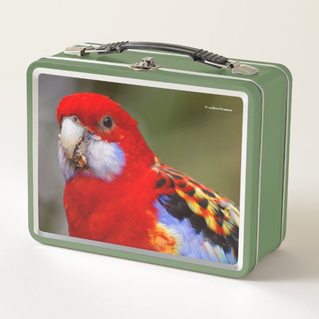 A Cheeky and Colourful Eastern Rosella Parrot Metal Lunch Box (Front)