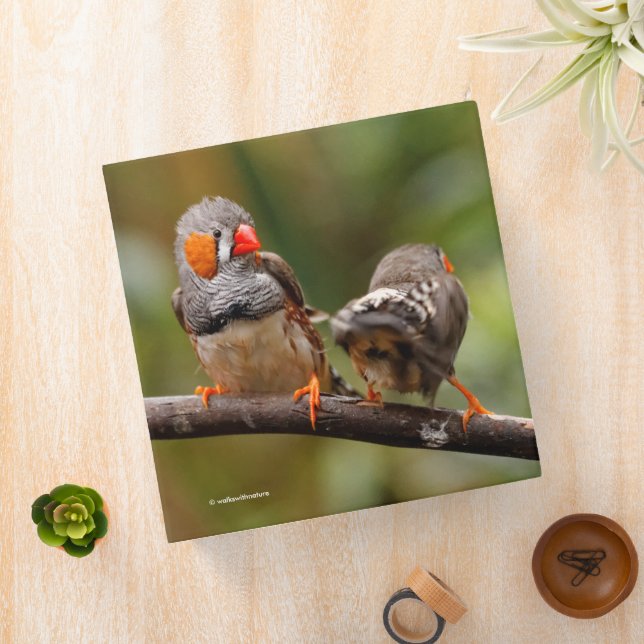 A Cheeky Pair of Zebra Finches Binder (In Situ)