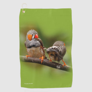 A Cheeky Pair of Zebra Finches Golf Towel