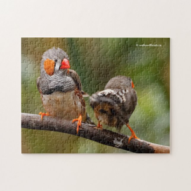 A Cheeky Pair of Zebra Finches Jigsaw Puzzle (Horizontal)