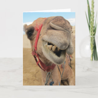 A Cheerful Camel Card