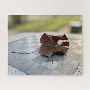 A chess lesson jigsaw puzzle