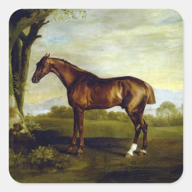 A Chestnut Racehorse by George Stubbs Square Sticker (Front)