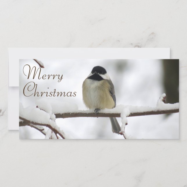A Chickadee Christmas Holiday Card (Front)