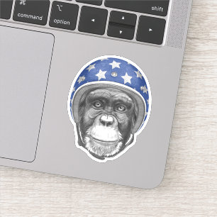 A Chimpanzee Motorcycle Rider