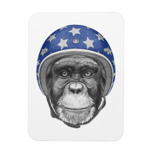 A Chimpanzee Motorcycle Rider Magnet