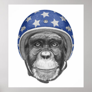 A Chimpanzee Motorcycle Rider Poster