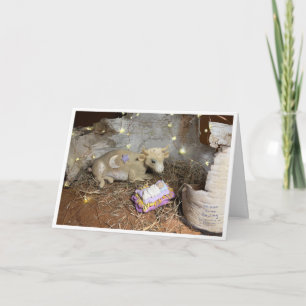 A Christmas Cow Card