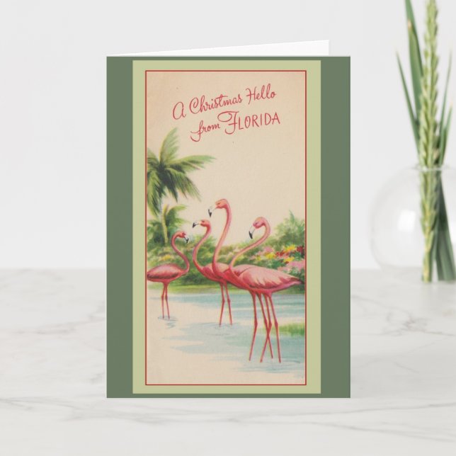A Christmas Hello from Florida! Holiday Card (Front)