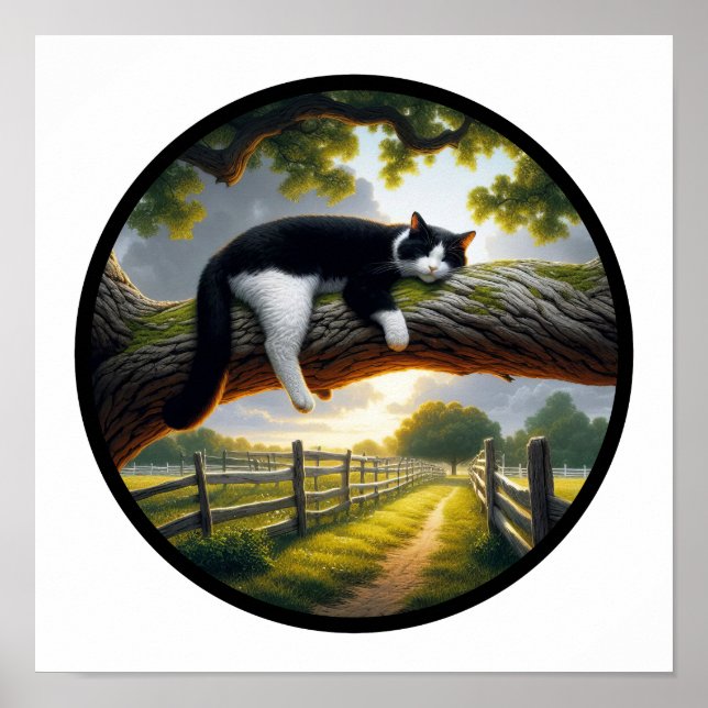 A Circular 3D Image of a Beautiful Tuxedo cat  Poster (Front)